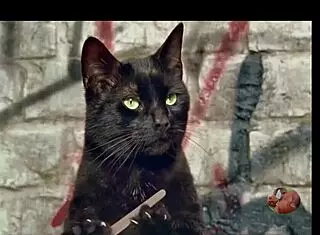 boa menina fode gostoso anal