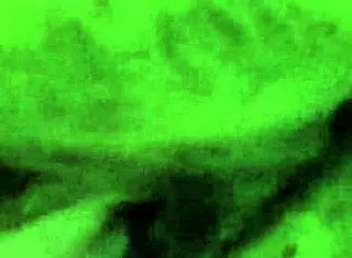 My Slut Wife Loves To Suck Dick!