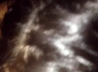 latina sucking dick and assfucking