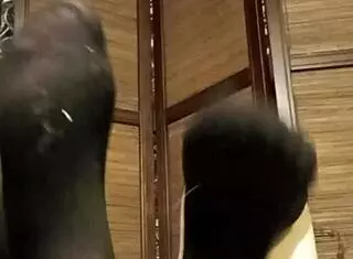 Stocking Fetish Solo Fun!