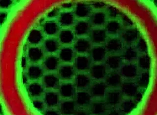 Vicky Vette interacts with her boss in an office setting.