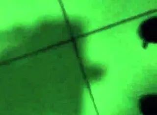 Tirandome A Travesti Delgada 2: Intense Latina Gay Shemale Assfucking Anal Peruvian Action