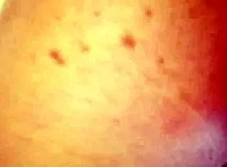 Pov handjob from favorite australian whore