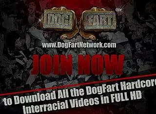 petite jessi palmer gets stretches by big black cocks