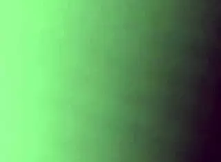 Young blonde teen slut deepthroats cock in homemade amateur video