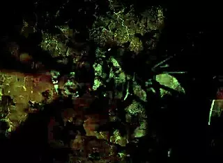 Uh, vintage erotic illustration got me all hooked