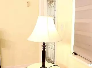 Milf Ainsley Shows Shy Guy How to Fuck!