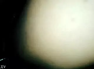 Shemale Ass Eater Takes Thick Dick Anal