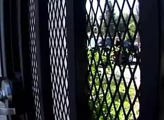 sasha grey's bondage anal fantasy