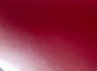 I Gave My Ass Contact for Sex