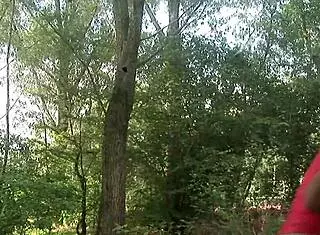 Never venture into the houses of others without caution