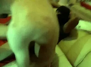 Novinhos tranzando no motel negro, rasgando o cuzinho do amiguinho dotado.