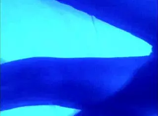 Skinny Wife Rides Black Cock Interracially