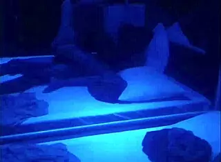 Skinny Wife Rides Black Cock Interracially