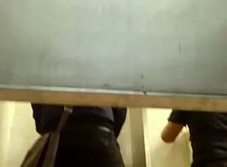 Gay Sex in Public Toilet