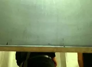 Gay Sex in Public Toilet