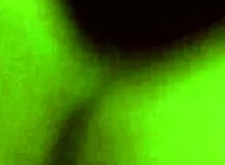 em nhung, show me your big tits