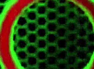 Blonde Vicky Vette Performs Handjob and Deepthroat