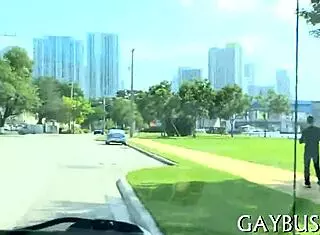 Free Videos Of Homosexual Encounters Available