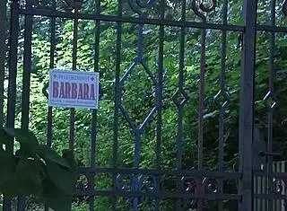 The german nurses provide special cock care to patients.