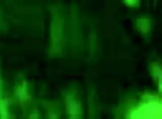 Sexy Cd Takes A Nice Load In Doggystyle Bent Over