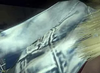 Gta 5 first person view of hooker in car for sex