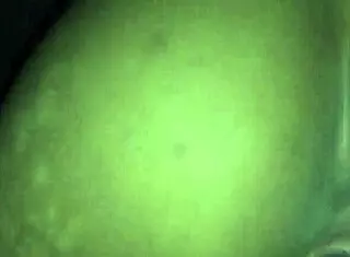 Redbone says, 'I'm riding this big black cock homemade style'