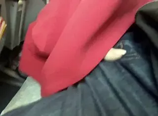 public airplane blowjob brunette