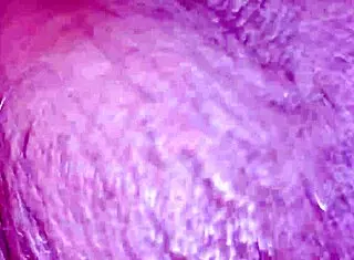 Rough casting for loving bikini models