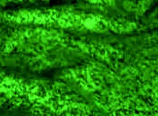 Redhot Fox In Babe Milf Sexy Encounter