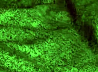 Redhot Fox In Babe Milf Sexy Encounter