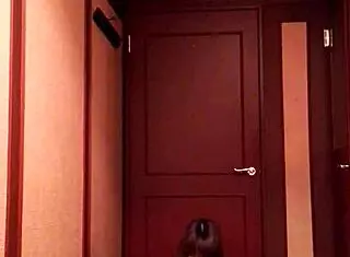 Ball Kicking Techniques Demonstrated in Sports