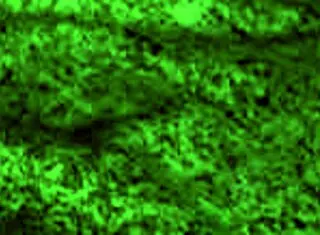 Redhot Fox In Babe Milf Sexy Encounter