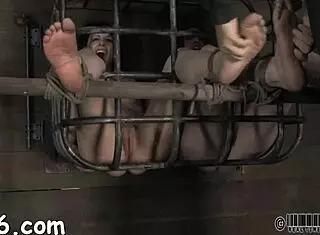 Yo, watch this enchanting playgirl locked in her tight cage! 😍