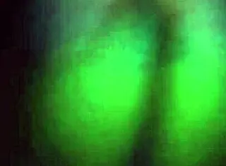 Zorra en fiesta termina con joven amante confiesa que se porta mal