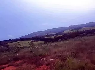 i fucked the blonde teen on the road in public