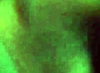 Zorra en fiesta termina con joven amante confiesa que se porta mal