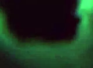 Zorra en fiesta termina con joven amante confiesa que se porta mal