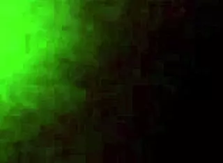 Group of Swingers Engage in Creampie Fun