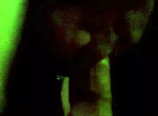 Enduring Nine Minutes of Intense Oral Stimulation