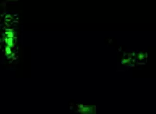 vintage erotic illustration from antique retro cartoon