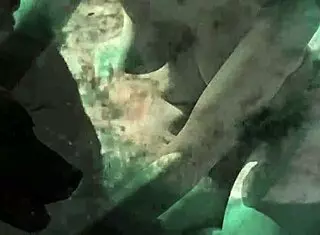 check out dark lantern's beauty and the beast! 😍