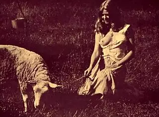 check out dark lantern's beauty and the beast! 😍