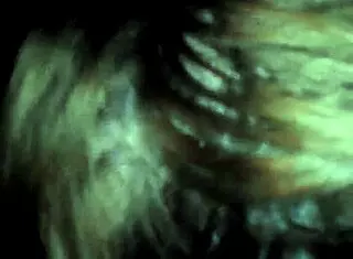 Look At This Cam 00880! Amateur Interracial Teasing And Blowjob Action!