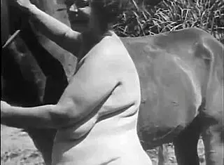 check out dark lantern's beauty and the beast! 😍