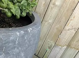 Nz Trashy Milf Slut Banged With Creampie