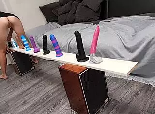 which dildo wins the ultimate collection challenge? 🤔