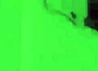 Did stepdad fuck you messy, bitch?