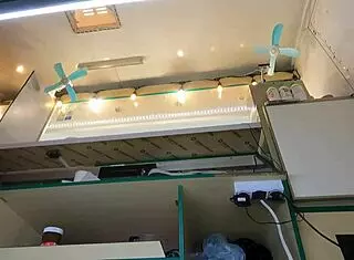 crazy girl gets upskirted at work for money!