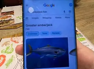 Surprising Nina with special Valentines Day gift at home